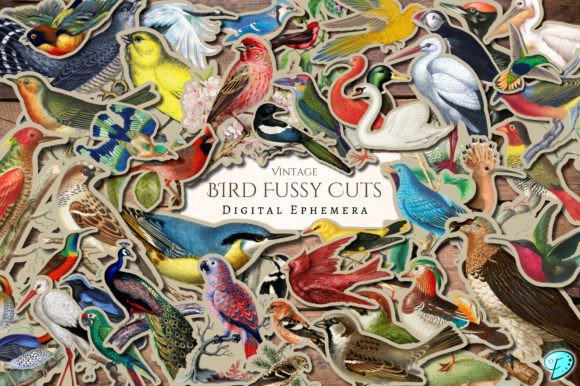 Download Vintage Bird Fussy Cut Digital Ephemera - Vintage Collection